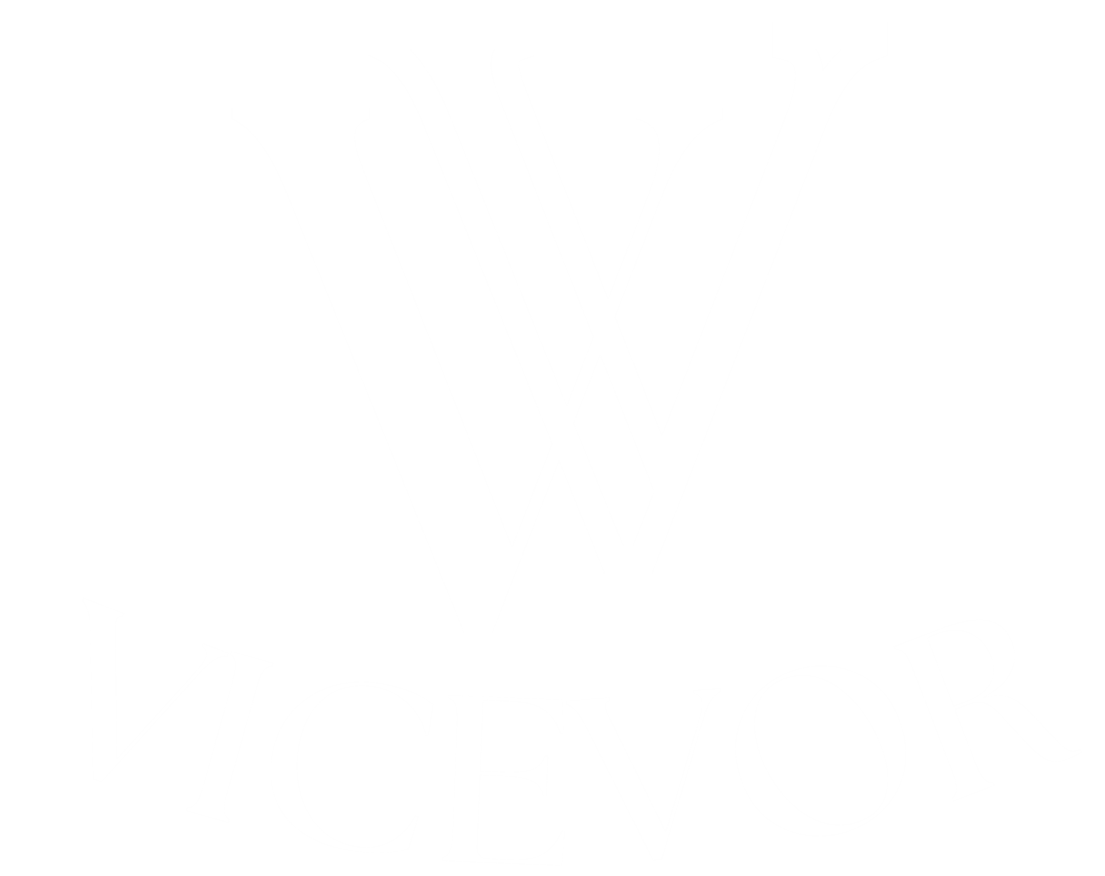 VICEVOR